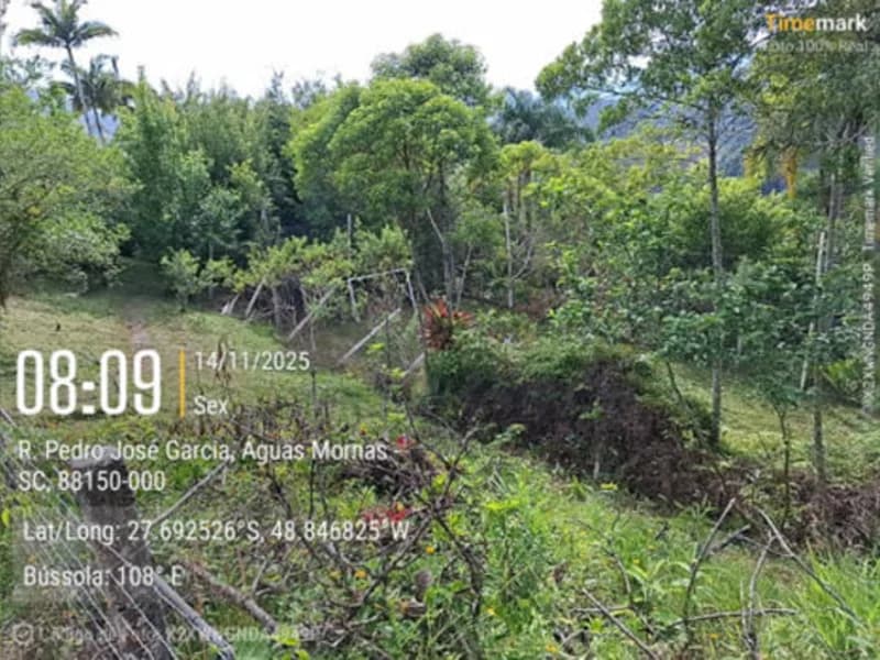 Foto 12 de 19: Terreno em leilão em Santo Amaro Da Imperatriz - SC — Terrenos - Santo Amaro da Imperatriz - SC
