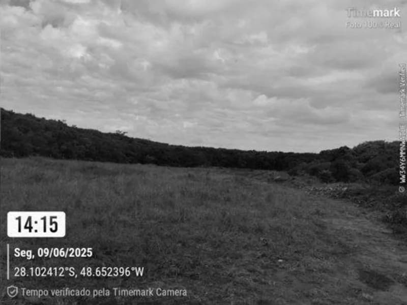 Foto 5 de 14: Terreno em leilão em Garopaba - SC — Terreno - Garopaba - SC