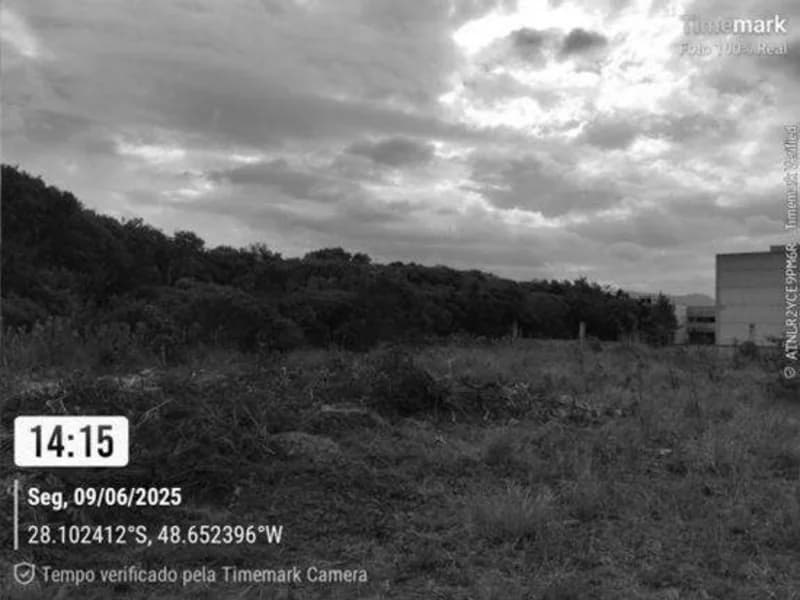 Foto 6 de 14: Terreno em leilão em Garopaba - SC — Terreno - Garopaba - SC