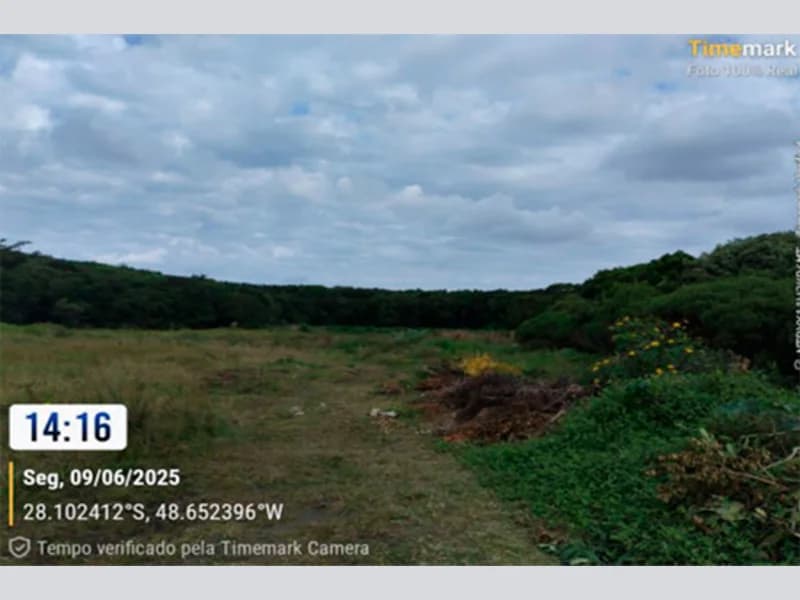 Foto 7 de 14: Terreno em leilão em Garopaba - SC — Terreno - Garopaba - SC