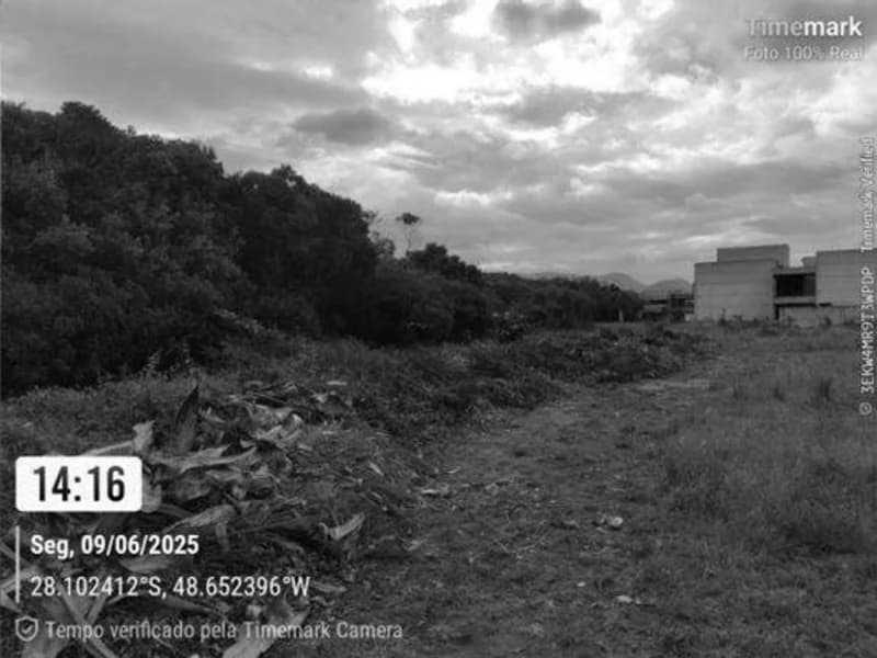 Foto 9 de 14: Terreno em leilão em Garopaba - SC — Terreno - Garopaba - SC