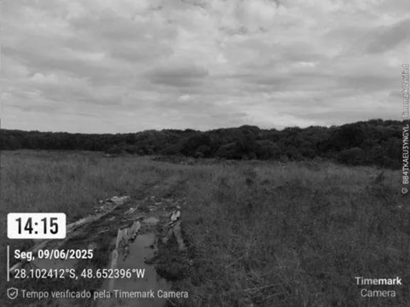 Foto 8 de 14: Terreno em leilão em Garopaba - SC — Terreno - Garopaba - SC