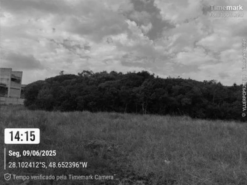Foto 12 de 14: Terreno em leilão em Garopaba - SC — Terreno - Garopaba - SC
