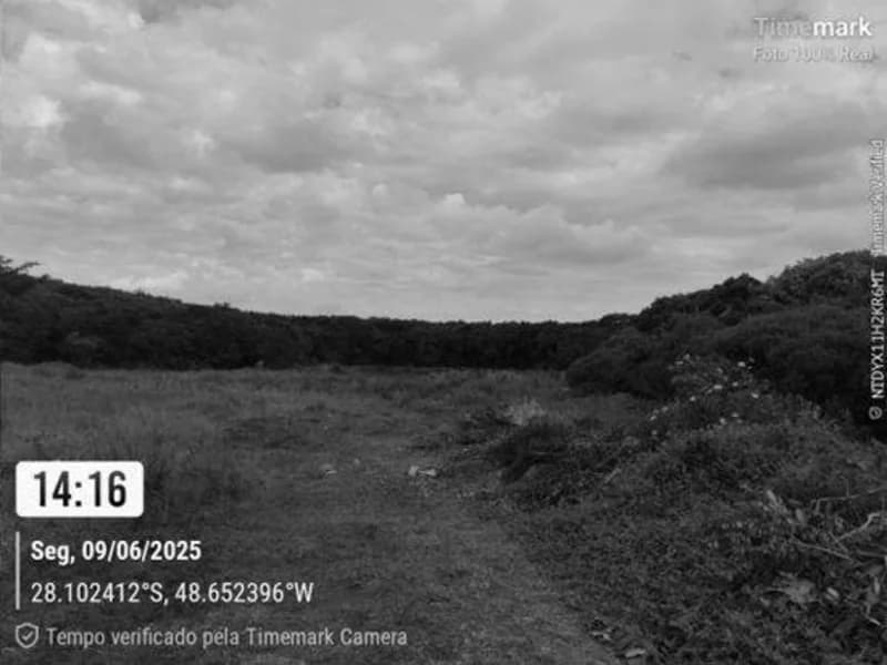 Foto 14 de 14: Terreno em leilão em Garopaba - SC — Terreno - Garopaba - SC
