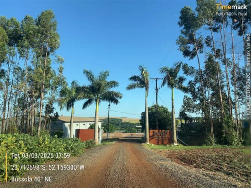 Foto 4 de 23: Area Rural em leilão em Engenheiro Beltrão - PR — Terreno - Engenheiro Beltrão - PR