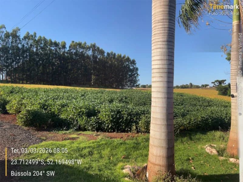 Foto 16 de 23: Area Rural em leilão em Engenheiro Beltrão - PR — Terreno - Engenheiro Beltrão - PR