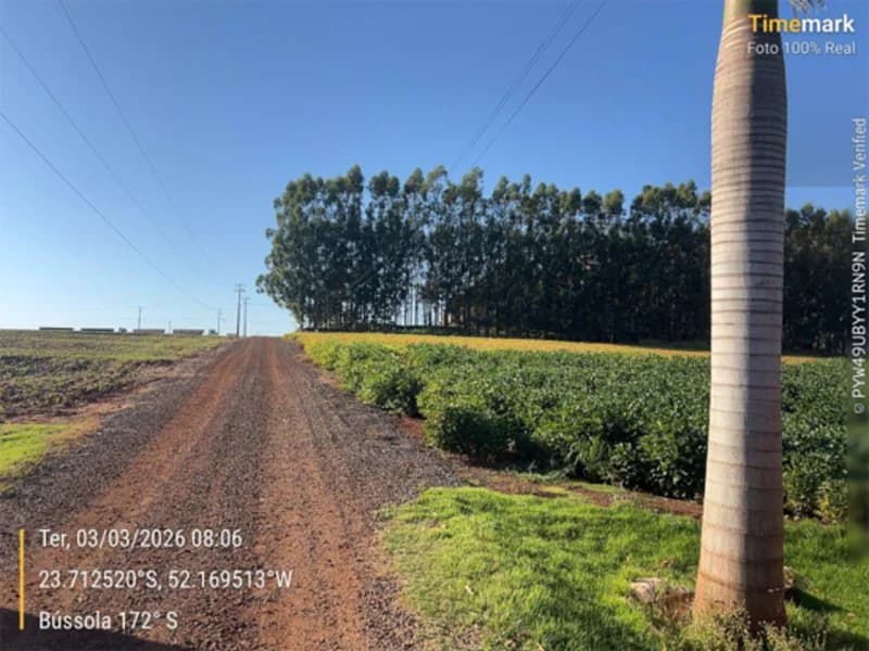 Foto 8 de 23: Area Rural em leilão em Engenheiro Beltrão - PR — Terreno - Engenheiro Beltrão - PR