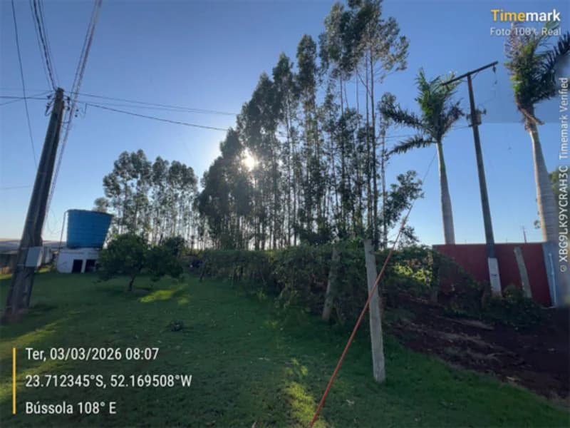 Foto 3 de 23: Area Rural em leilão em Engenheiro Beltrão - PR — Terreno - Engenheiro Beltrão - PR