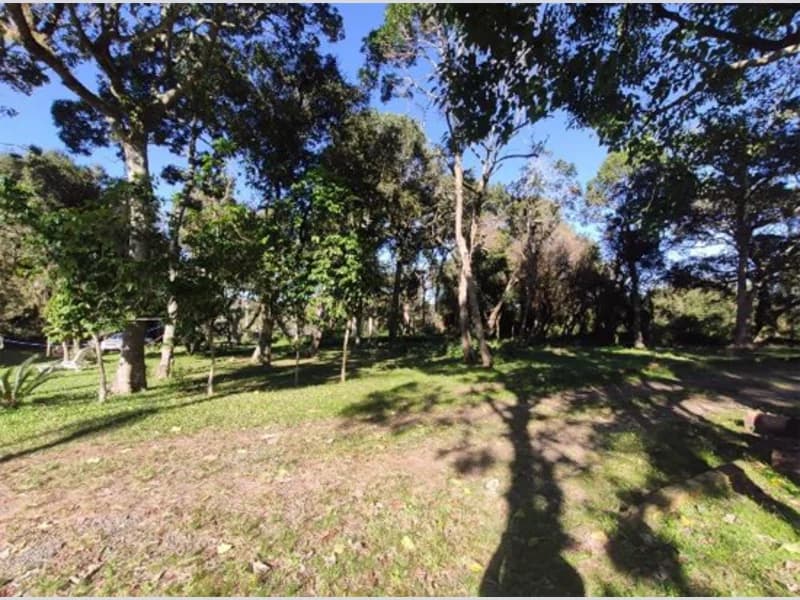 Foto 7 de 18: Terreno em leilão em Viamão - RS, bairro Águas Claras — Terreno - Viamão - RS