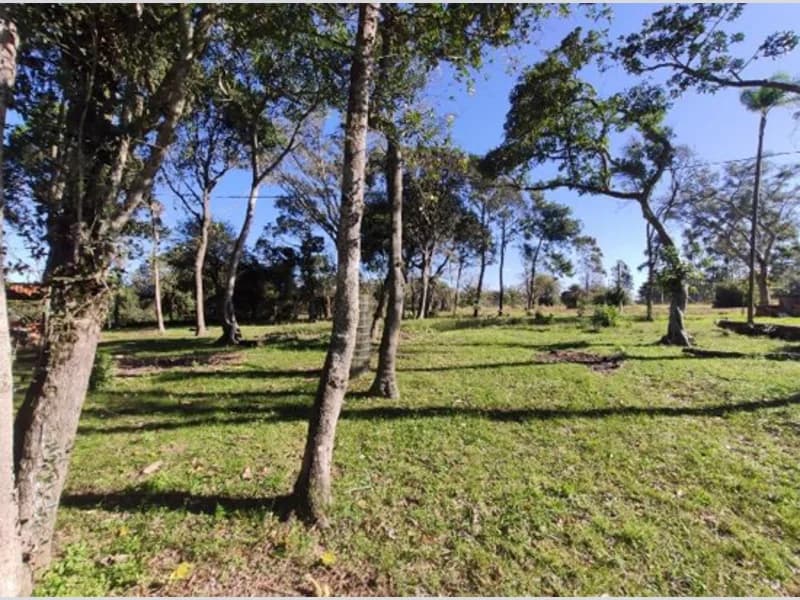 Foto 12 de 18: Terreno em leilão em Viamão - RS, bairro Águas Claras — Terreno - Viamão - RS