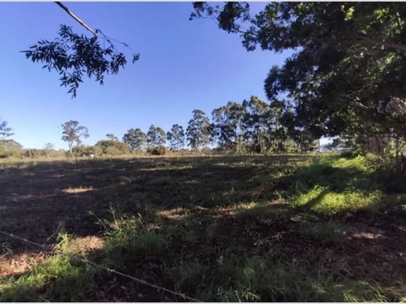 Foto 6 de 18: Terreno em leilão em Viamão - RS, bairro Águas Claras — Terreno - Viamão - RS