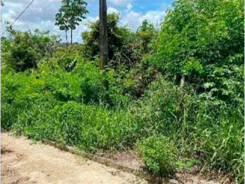 Foto 1 de 2: Terreno em leilão em São Lourenço Da Mata - PE, bairro Lagoa Azul — Terreno - São Lourenço da Mata - PE