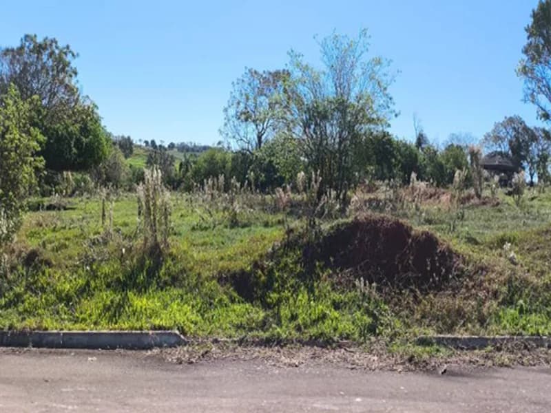 Foto 3 de 11: Terreno em leilão em Pérola - PR — Loteamento - Pérola - PR