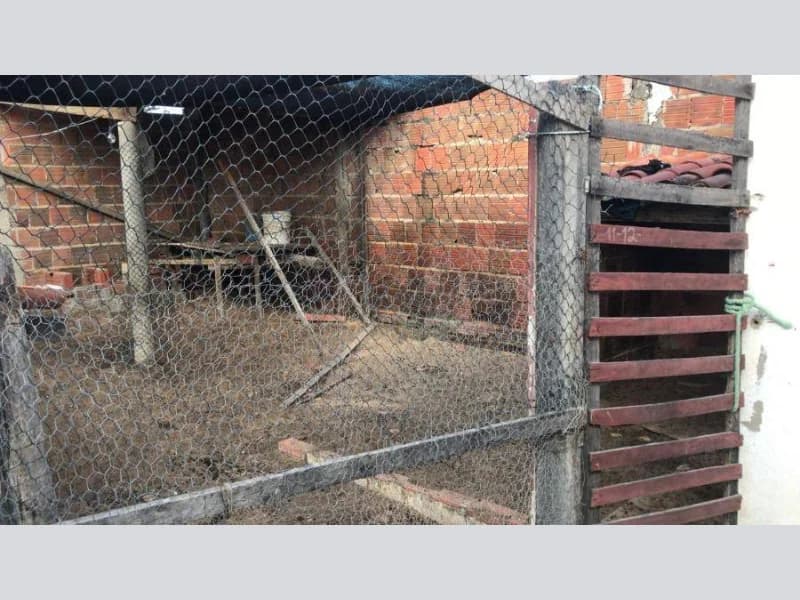 Foto 10 de 26: Casa em leilão em Jaguaribara - CE, bairro Nossa Senhora de Fátima — Casa - Jaguaribara - CE