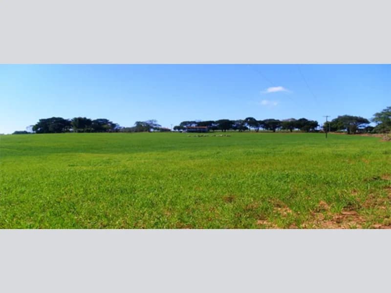 Foto 1 de 4: Terreno em leilão em Wenceslau Braz - PR — Terreno - Wenceslau Braz - PR
