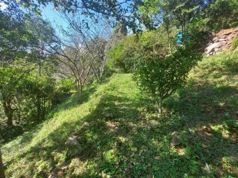 Foto 5 de 6: Terreno em leilão em São Francisco De Paula - RS — Casa - São Francisco de Paula - RS