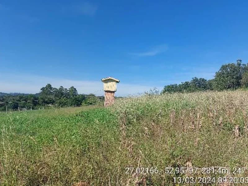 Foto 3 de 8: Terreno em leilão em Águas De Chapecó - SC — Terreno - Águas de Chapecó - SC