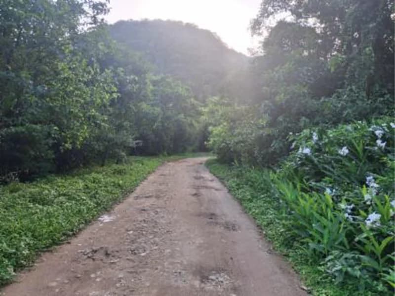 Foto 6 de 7: Terreno em leilão em Caraguatatuba - SP, bairro Massaguacu — Terreno - Caraguatatuba - SP