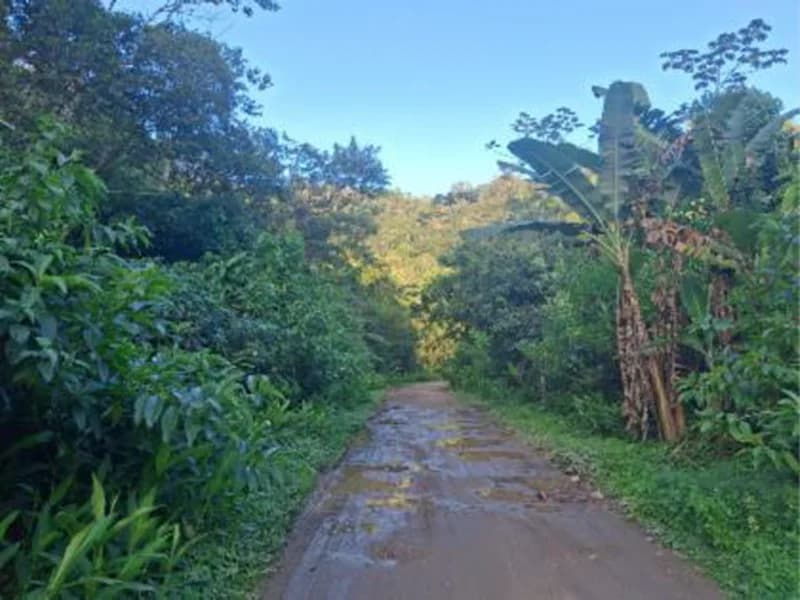 Foto 3 de 7: Terreno em leilão em Caraguatatuba - SP, bairro Massaguacu — Terreno - Caraguatatuba - SP
