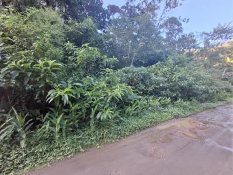 Foto 7 de 7: Terreno em leilão em Caraguatatuba - SP, bairro Massaguacu — Terreno - Caraguatatuba - SP