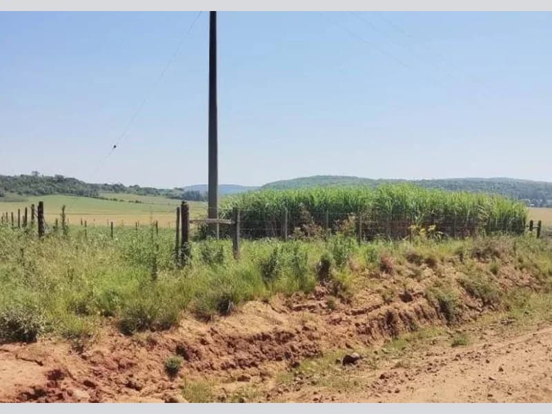 Foto 2 de 5: Area Rural em leilão em Maçambará - RS — Loteamento - Maçambara - RS