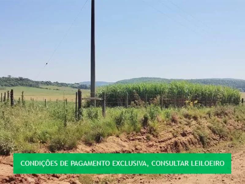 Foto 5 de 5: Area Rural em leilão em Maçambará - RS — Loteamento - Maçambara - RS