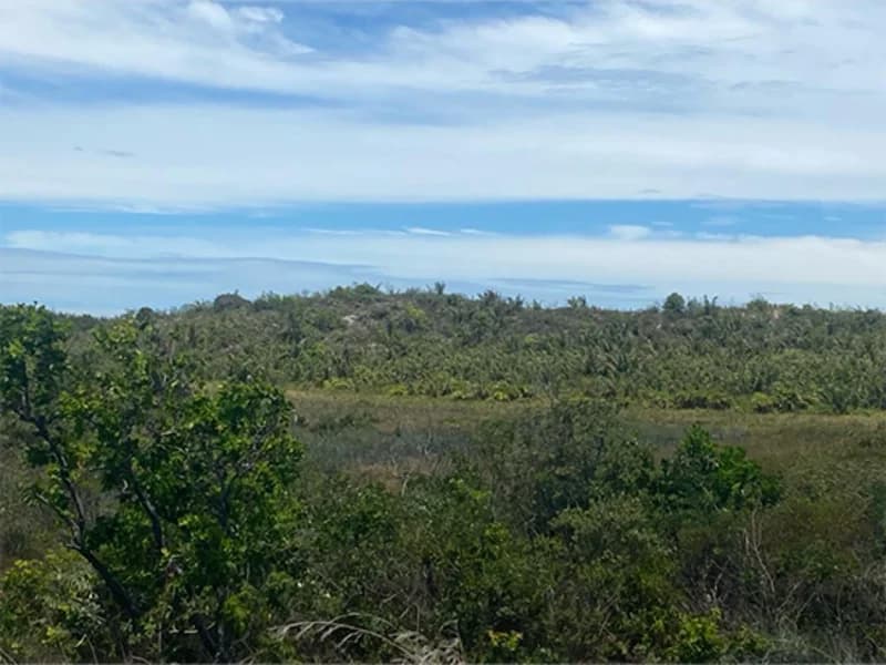 Foto 1 de 2: Terreno em leilão em Itaporanga D'ajuda - SE, bairro Loteamento Vila Rica do Abais — Terreno - Itaporanga D'ajuda - SE