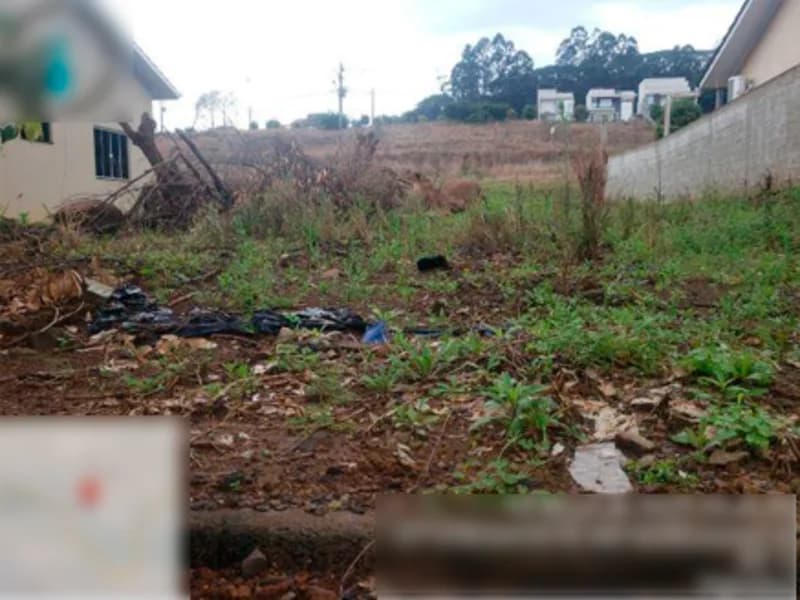 Foto 12 de 20: Terreno em leilão em Palmitos - SC, bairro Azenha — Terreno - Palmitos - SC