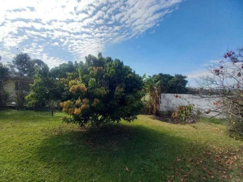 Foto 18 de 24: Casa em leilão em Suzano - SP — Casa - Suzano - SP