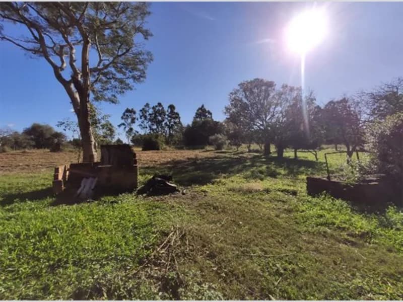 Foto 6 de 18: Terreno em leilão em Viamão - RS, bairro Águas Claras — Terreno - Viamão - RS
