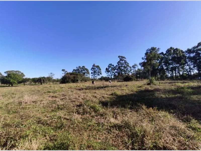 Foto 8 de 18: Terreno em leilão em Viamão - RS, bairro Águas Claras — Terreno - Viamão - RS