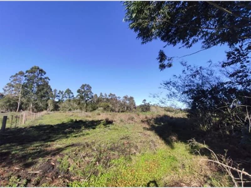 Foto 10 de 18: Terreno em leilão em Viamão - RS, bairro Águas Claras — Terreno - Viamão - RS