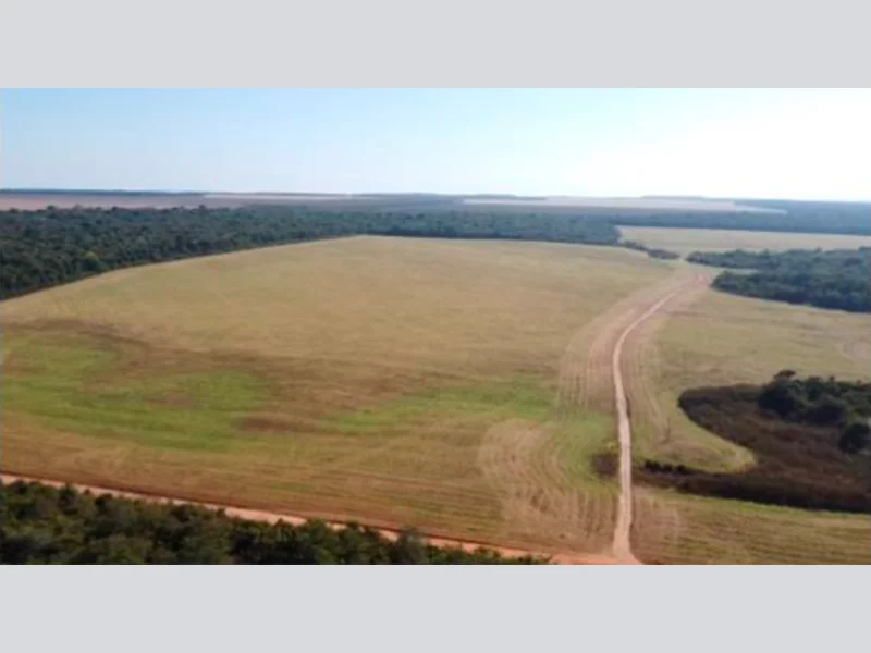Foto 2 de 8: Area Rural em leilão em Vilhena - RO — Terreno - Vilhena - RO
