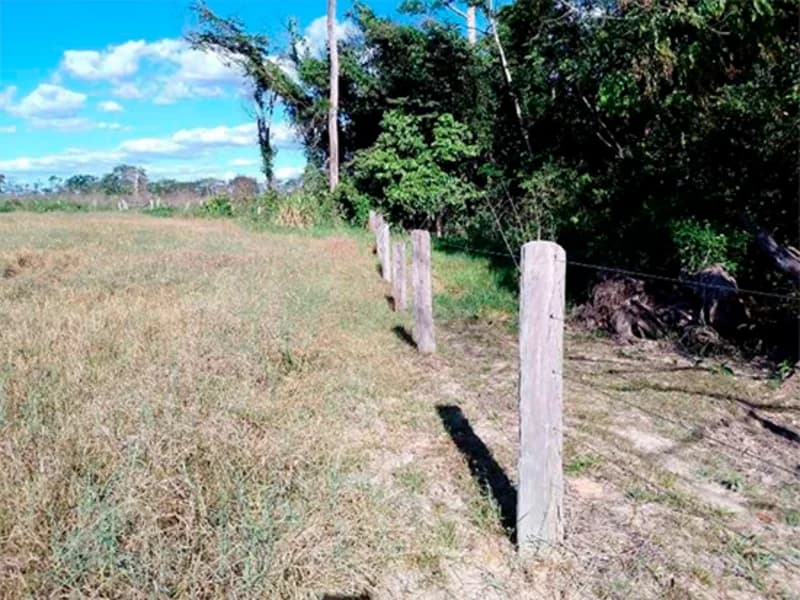 Foto 1 de 7: Area Rural em leilão em Nova Bandeirantes - MT — Sítio - Nova Bandeirantes - MT