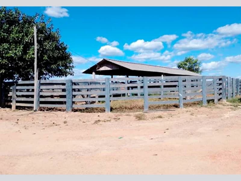 Foto 2 de 7: Area Rural em leilão em Nova Bandeirantes - MT — Sítio - Nova Bandeirantes - MT