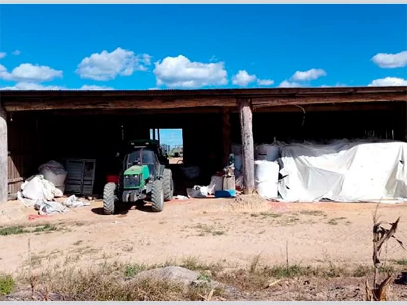 Foto 4 de 7: Area Rural em leilão em Nova Bandeirantes - MT — Sítio - Nova Bandeirantes - MT