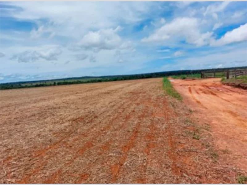 Foto 1 de 4: Terreno em leilão em Porto Dos Gaúchos - MT — Terreno - Porto Dos Gaúchos - MT