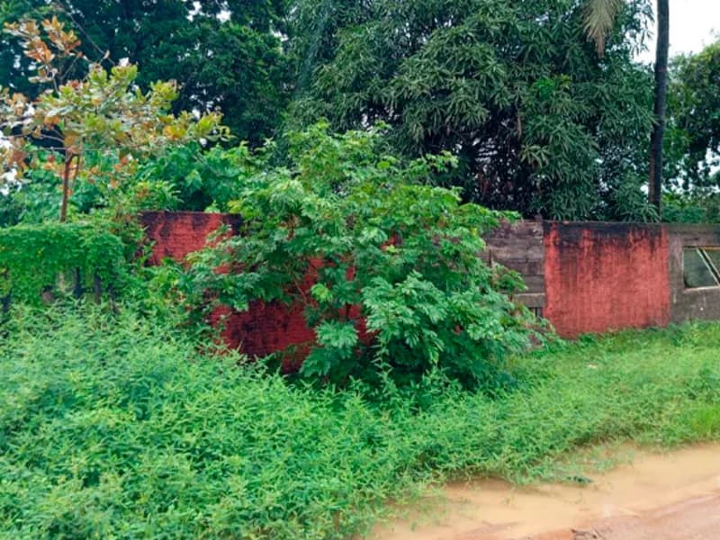 Foto 6 de 13: Terreno em leilão em Porto Velho - RO, bairro Marcos Freire — Terreno - Porto Velho - RO