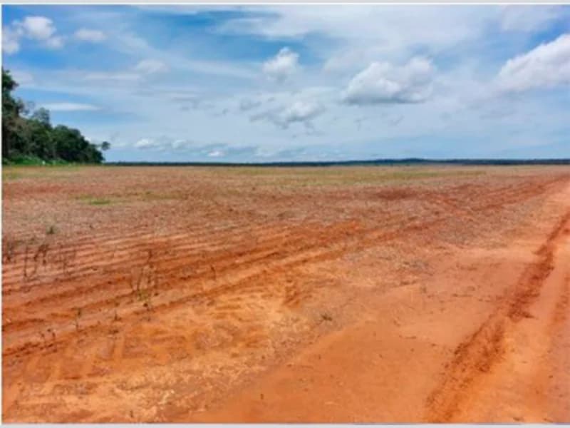 Foto 4 de 4: Terreno em leilão em Porto Dos Gaúchos - MT — Terreno - Porto Dos Gaúchos - MT