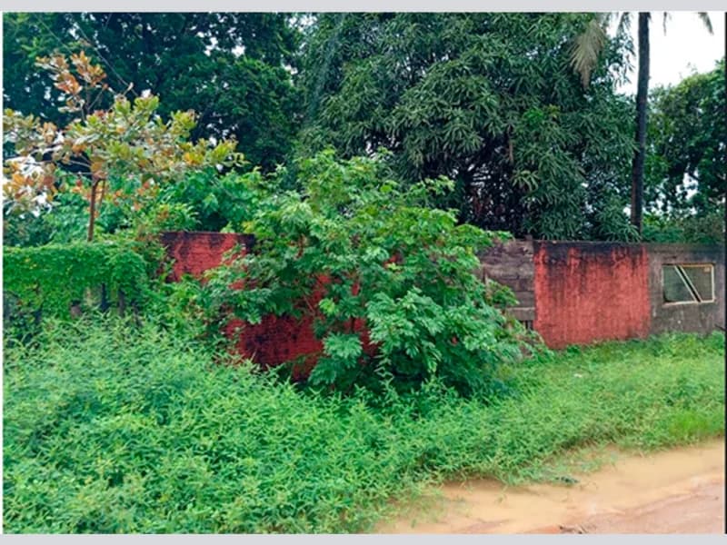 Foto 10 de 13: Terreno em leilão em Porto Velho - RO, bairro Marcos Freire — Terreno - Porto Velho - RO