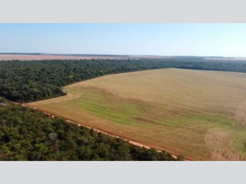 Foto 8 de 8: Area Rural em leilão em Vilhena - RO — Terreno - Vilhena - RO