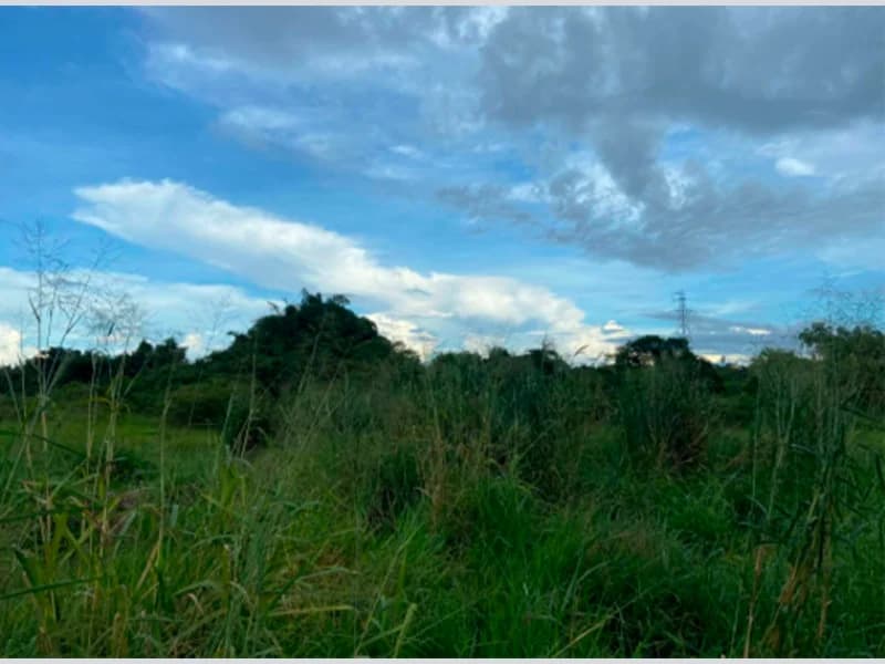 Foto 3 de 3: Terreno em leilão em Rolim De Moura - RO — Terreno - Rolim de Moura - RO