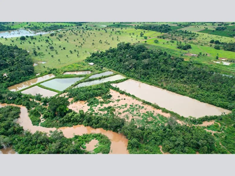 Foto 5 de 5: Area Rural em leilão em Alta Floresta D'oeste - RO — Terreno - Alta Floresta D'oeste - RO