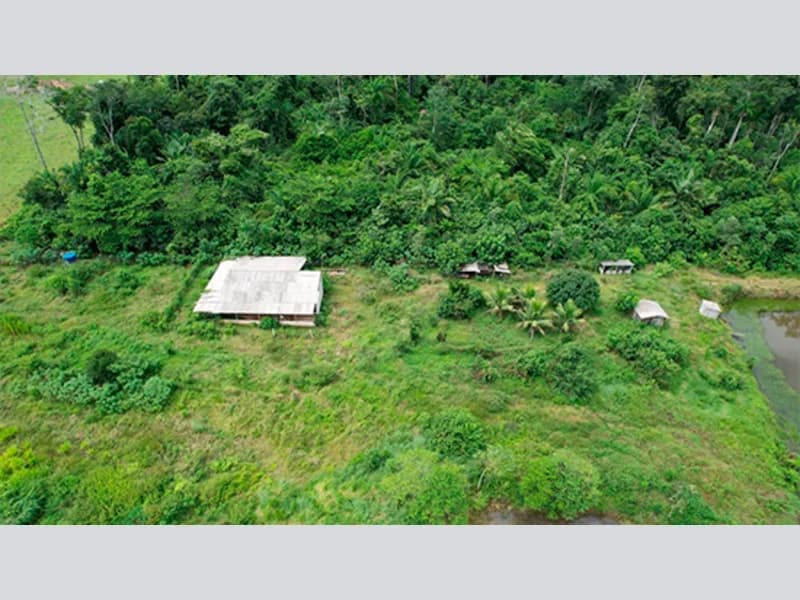 Foto 2 de 5: Area Rural em leilão em Alta Floresta D'oeste - RO — Terreno - Alta Floresta D'oeste - RO