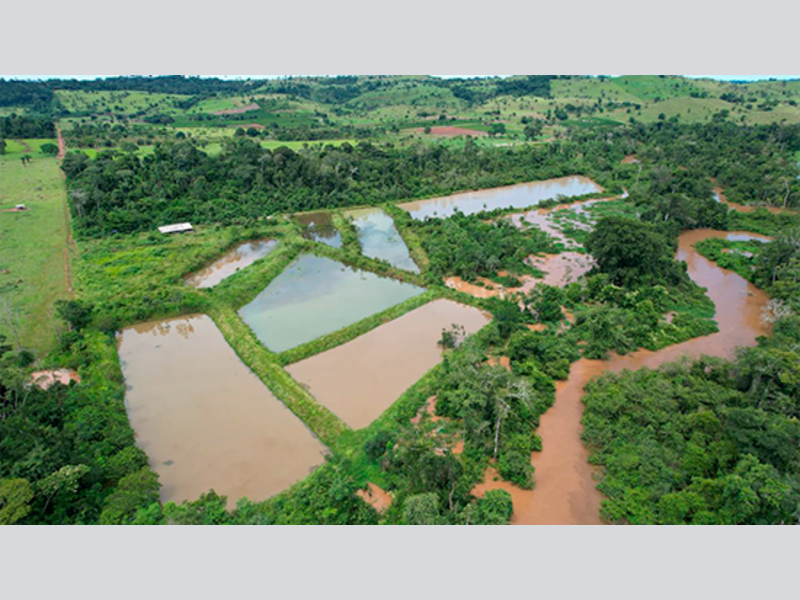 Foto 3 de 5: Area Rural em leilão em Alta Floresta D'oeste - RO — Terreno - Alta Floresta D'oeste - RO
