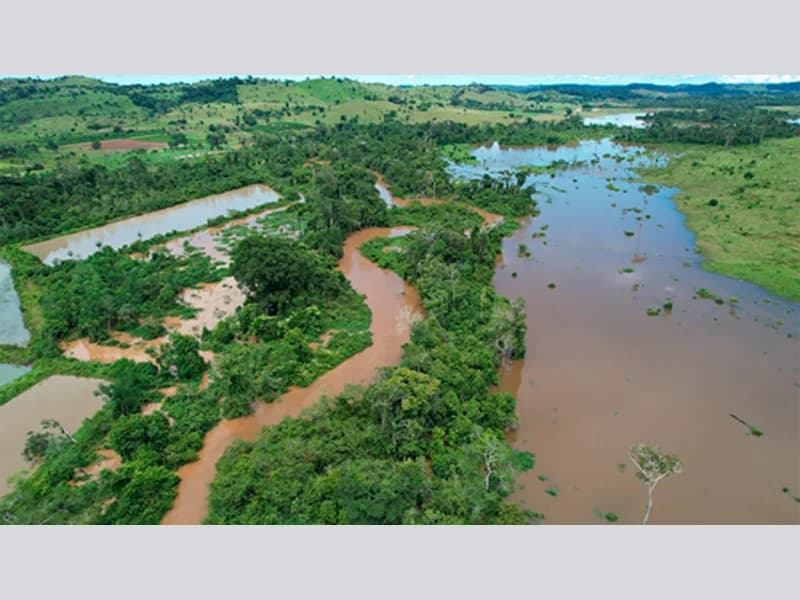 Foto 4 de 5: Area Rural em leilão em Alta Floresta D'oeste - RO — Terreno - Alta Floresta D'oeste - RO