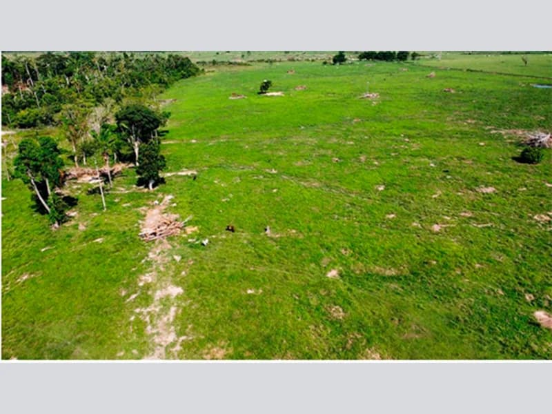 Foto 4 de 5: Area Rural em leilão em Alta Floresta D'oeste - RO — Terreno - Alta Floresta D'oeste - RO