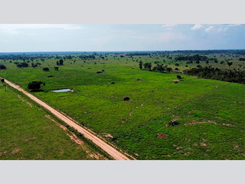 Foto 2 de 5: Area Rural em leilão em Alta Floresta D'oeste - RO — Terreno - Alta Floresta D'oeste - RO