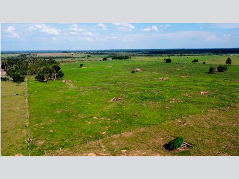 Foto 5 de 5: Area Rural em leilão em Alta Floresta D'oeste - RO — Terreno - Alta Floresta D'oeste - RO