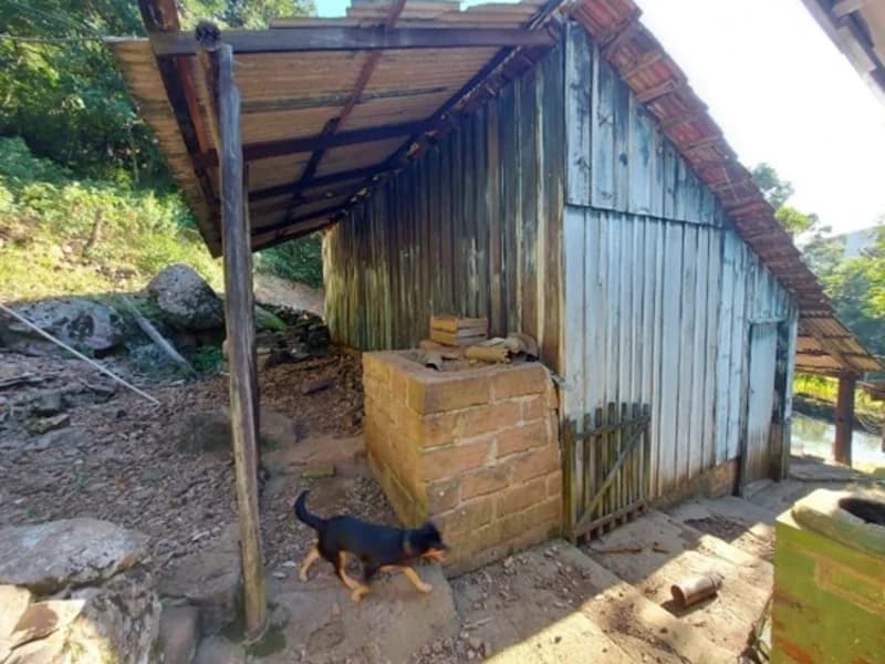 Foto 11 de 15: Terreno em leilão em São Francisco De Paula - RS — Casa - São Francisco de Paula - RS